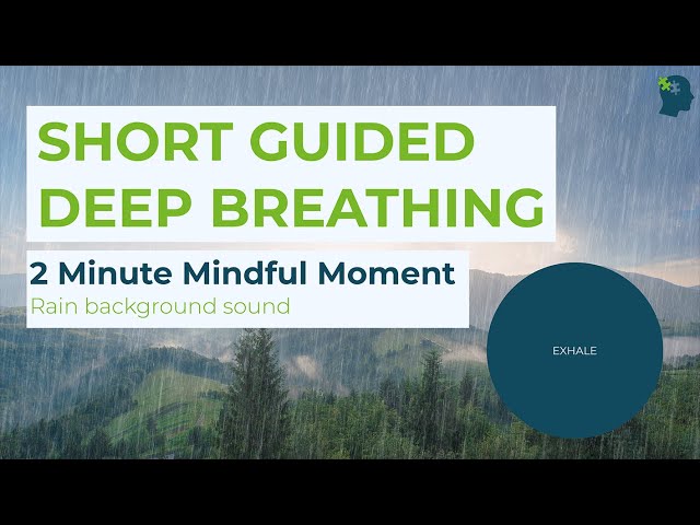 2 Minute Guided DEEP BREATHING Exercise | Breathing Exercises For ANXIETY