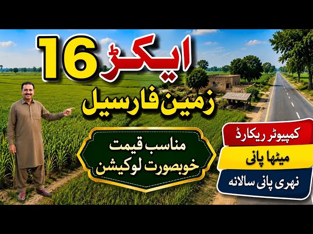 16-Acre Agricultural Land for Sale in Punjab, Pakistan | Cheap Price | Land for Sale | Ep 246