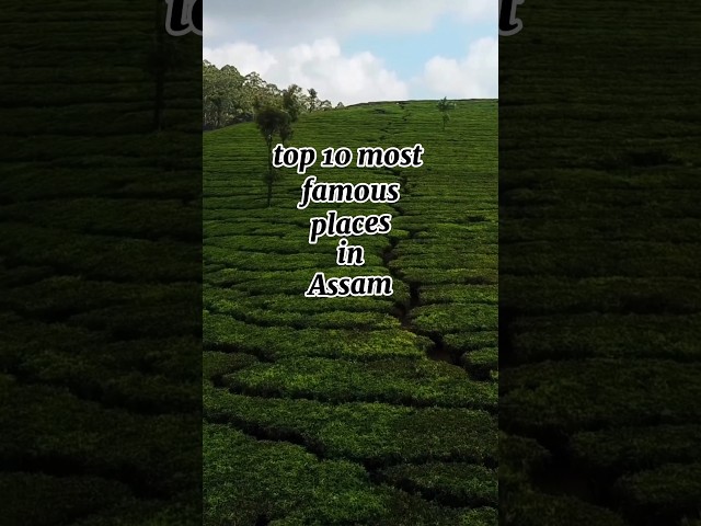 top 10 most famous places in Assam #tour #assam