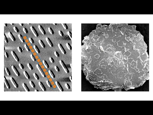 Fehlerkorrektur mit Reed-Solomon-Codes (CD, DVD, Blu-ray, DSL, DVB, RAID, QR-Codes, etc.)