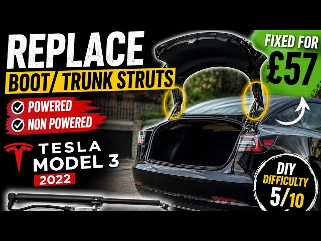 Tesla model 3 Rear powered strut replacement. 