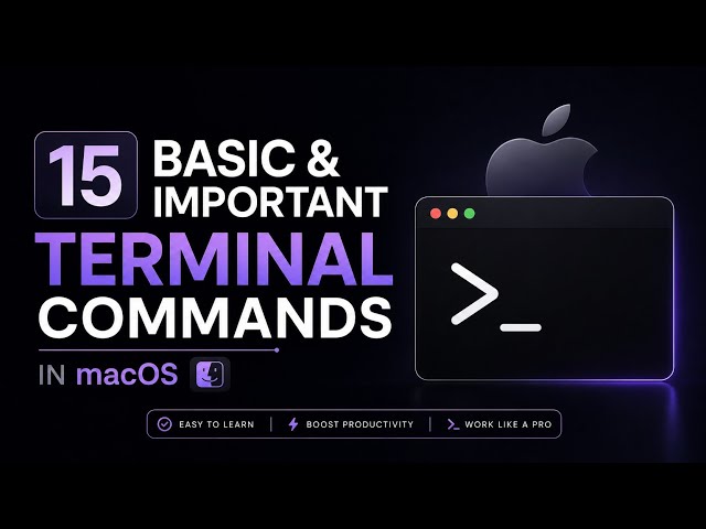 Fifteen Basic And Important Terminal Commands In macOS