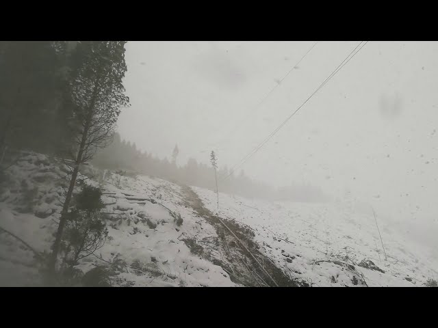 Cable Logging