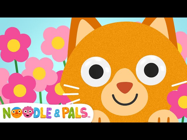 Can You Find The Cat? | Kids Pet Song | Rooms Around The House | Noodle & Pals