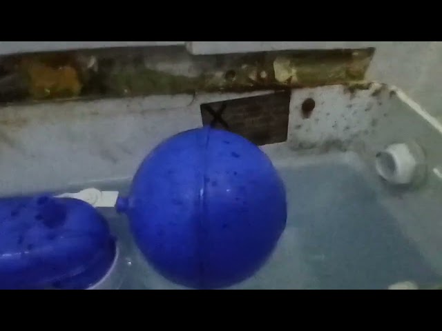 ,LL Dudley Tri Shell & 1980s Trent Trentline Pan | Doyols,