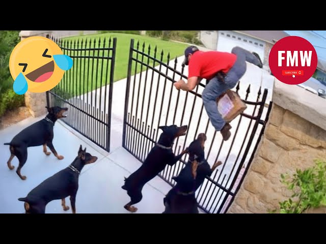 Try Not To Laugh 🤣 Top 100 Funniest Videos Ever 😂 | Funny Videos Compilation 2025 #12