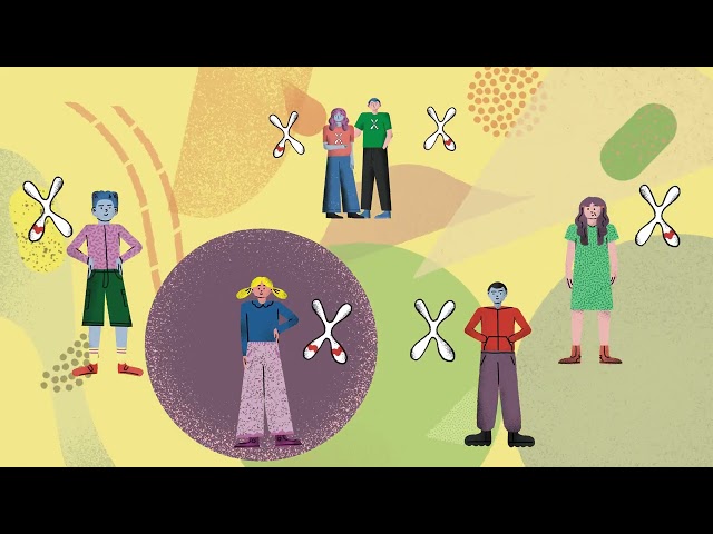 FFC Ricerca si racconta