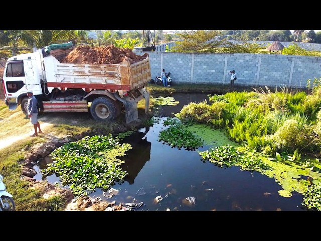 First Start Amazing PROJECT!! LANDFILL Delete Deep Fish Pond Use Mitsubishi Bulldozer & 5Ton Truck.