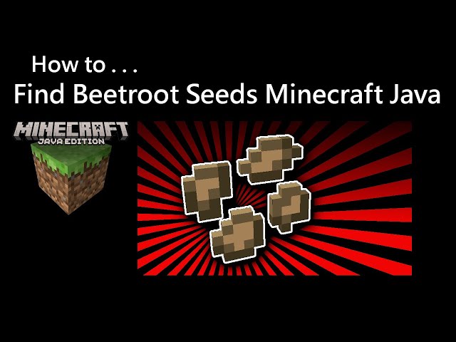 How To Find Beetroot Seeds Minecraft Java
