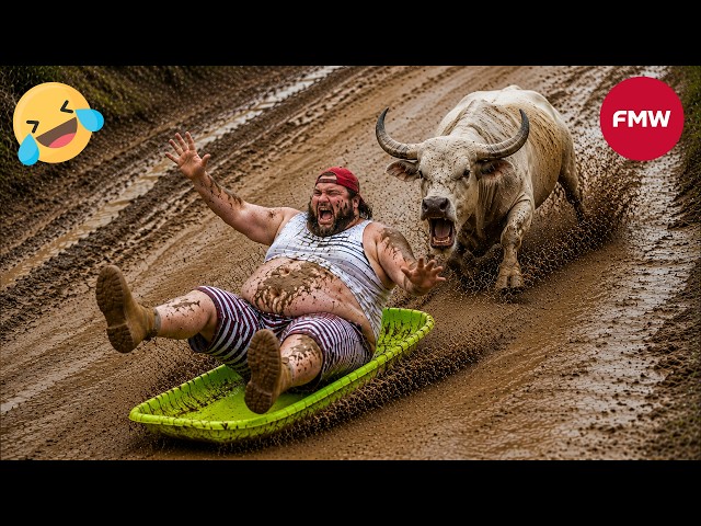 Try Not To Laugh Challenge 😂 99% Will Fail | Funny Videos Compilation 2026 #211