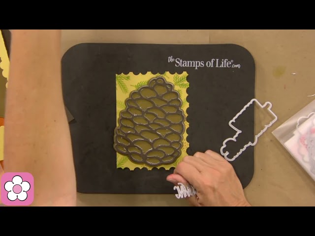 A Quick Pinecone Card With Stephanie & The Stamps of Life