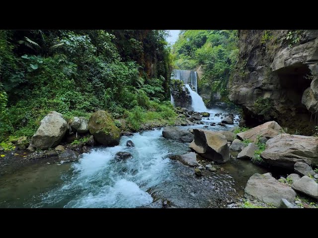 Relaxing Green Stream Flow with Forest Nature Ambience for Deep Focus, Sleep and Meditation