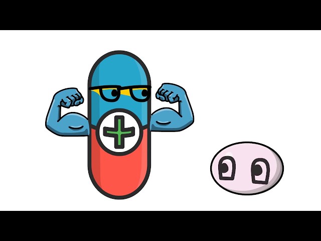 What is chlamydia?