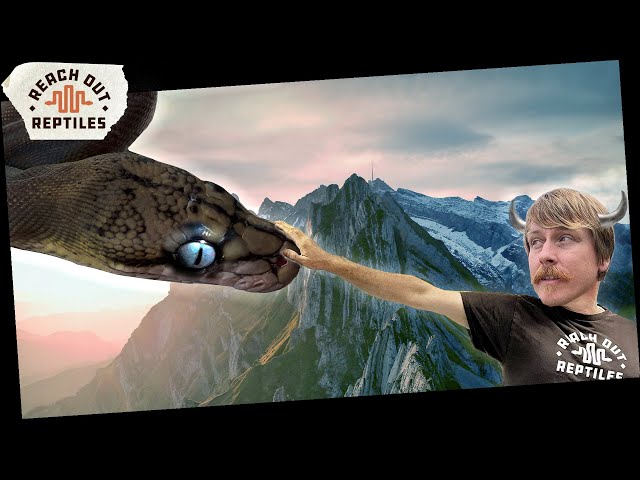 How To Train Your Reticulated Python