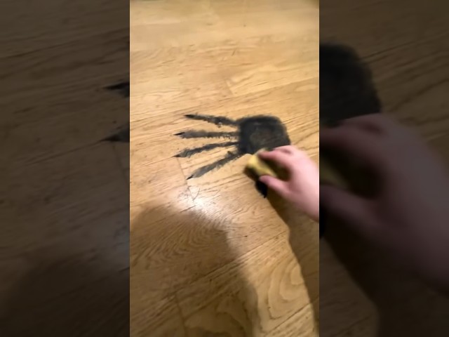 PASOS | Parte 1 #miedo #parati #paranormal