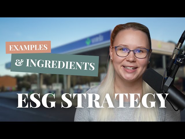What is ESG Strategy [ingredients & company examples]