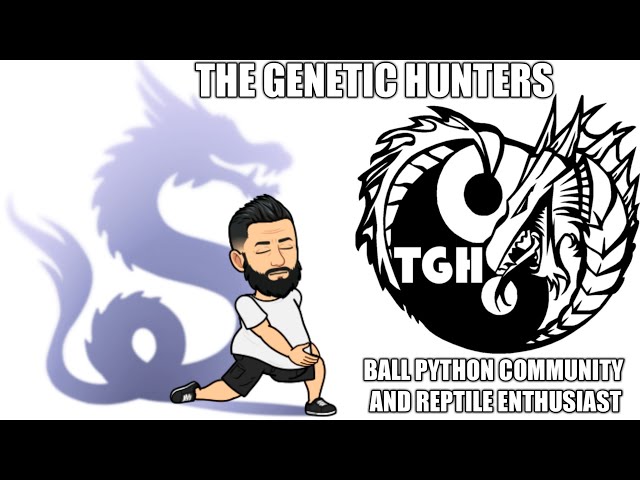 Heather & TGH having a Digital Meet & Greet with Balls by JP