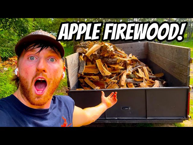 PROCESSING APPLE FIREWOOD! A SMOKERS DREAM! 