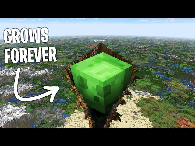 How small can you get in Minecraft?