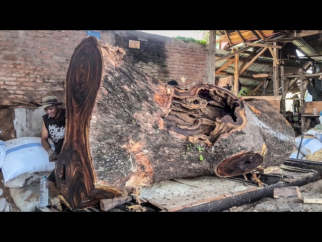 Century-Old Trembesi Log Turned Into Premium Furniture Lumber