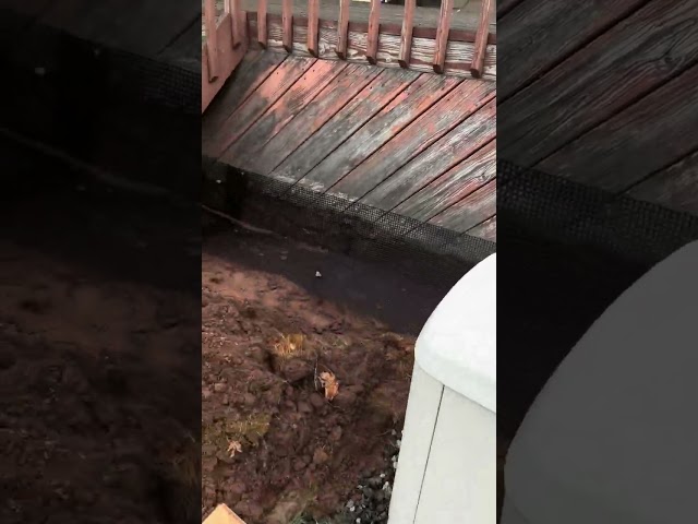 Deck & Shed Exclusion Explained | How We Stop Wildlife from Digging Under Structures