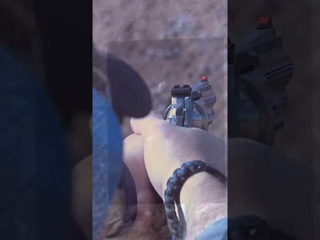 Shooting Pythons #coltpython #coltrevolver #yamilsued