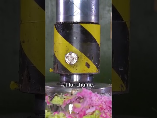 I automated my daily work tasks with a Python script 6 months ago.