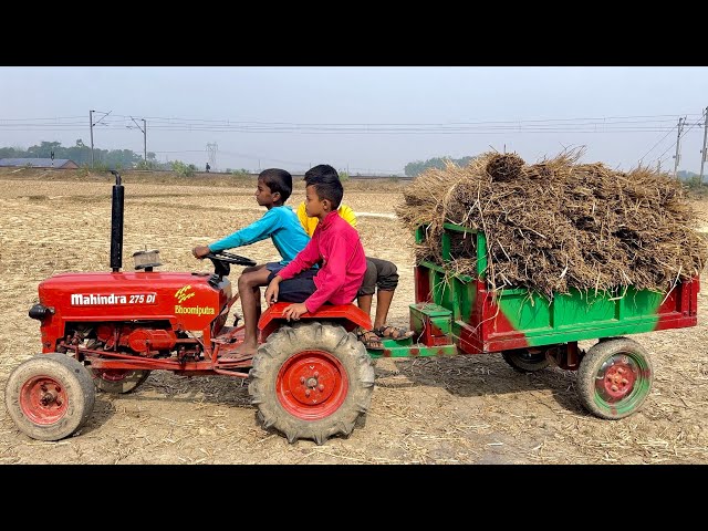Mini Mahindra Tractor With Brought The Stubble From The fields | Mini Tractor | Farmer Video