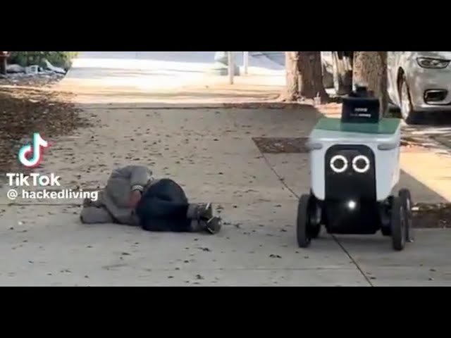 Meditations On A Delivery Robot Steering To Avoid A Homeless Man On The Sidewalk