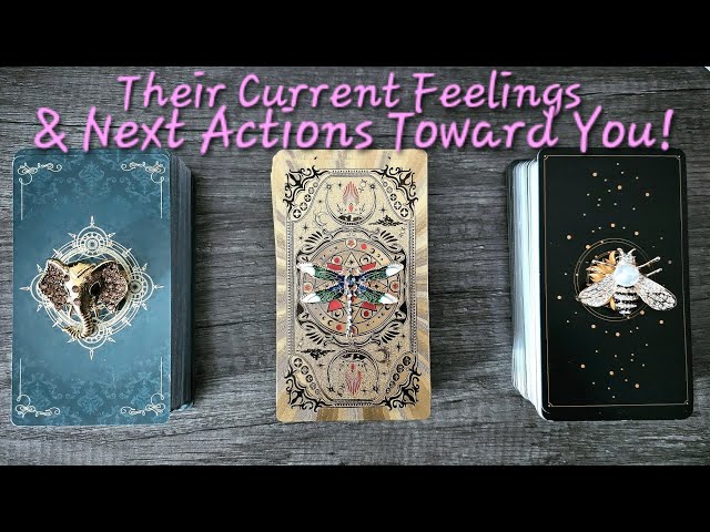 💖Their Current Feelings and Next Actions Toward YOU💖Pick a Card Love Tarot Reading💫Timeless💫