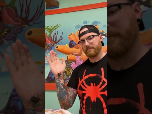 Storytime with a tailless whip scorpion!