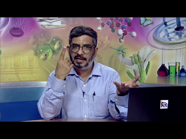 Activity-Based Approach as Learner and Learning Friendly Approach