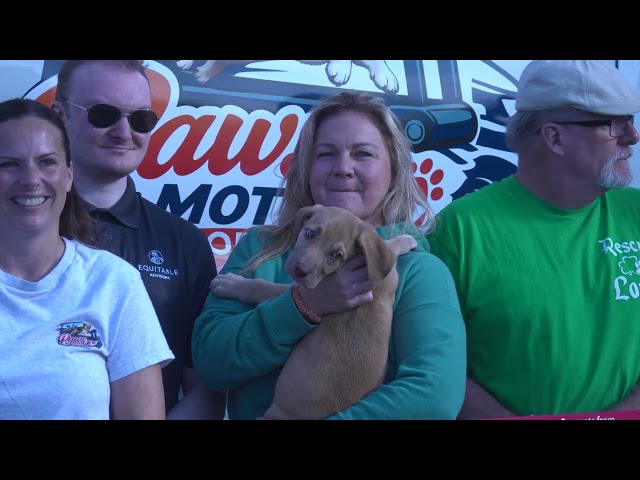 Mobile Dog Exercise Van Launches in Syracuse | Juice and Java