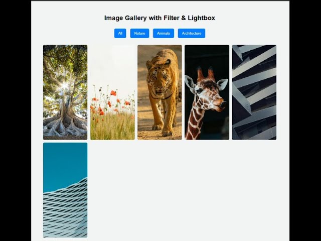 How to Build an Advanced Image Gallery with Filter & Lightbox using HTML, CSS & JavaScript!📌