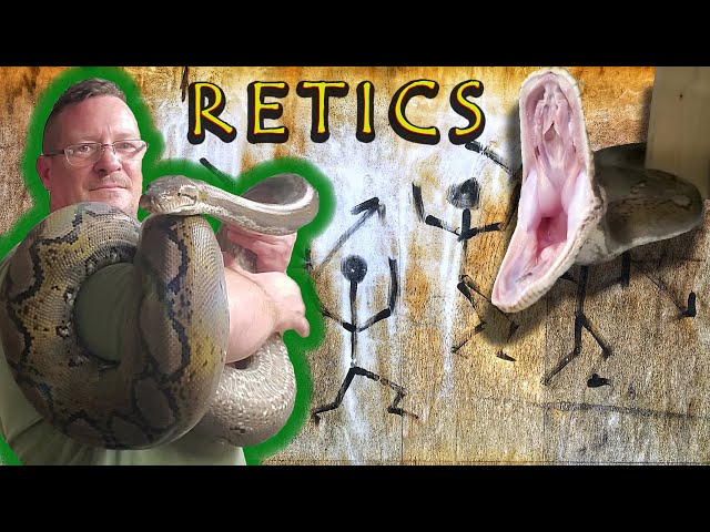 🐍 Getting A Reticulated Python?