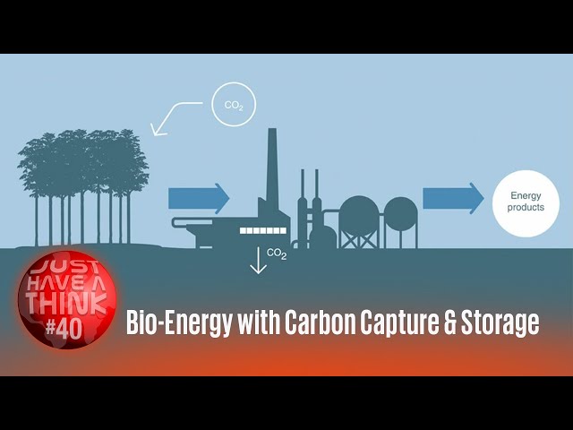 Bio-Energy with Carbon Capture and Storage (BECCS)