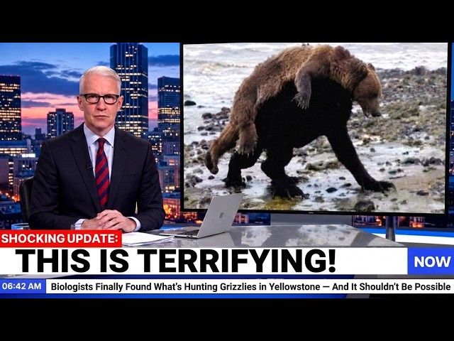 Biologists Finally Discovered What's Hunting Grizzlies in Yellowstone — And It's Terrifying
