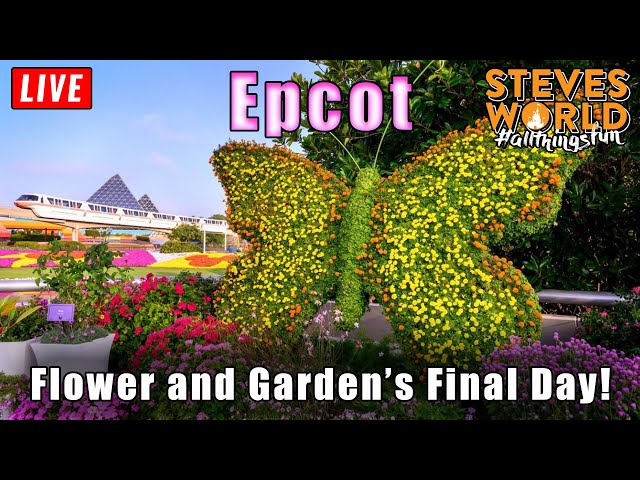 🔴 LIVE: An Evening At Epcot | Walt Disney World Live Stream 6-1-26