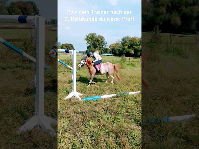 Trainer with overly high expectations 😂 🤪 #horse #riding #horseriding #horses #equestrianjumping ...