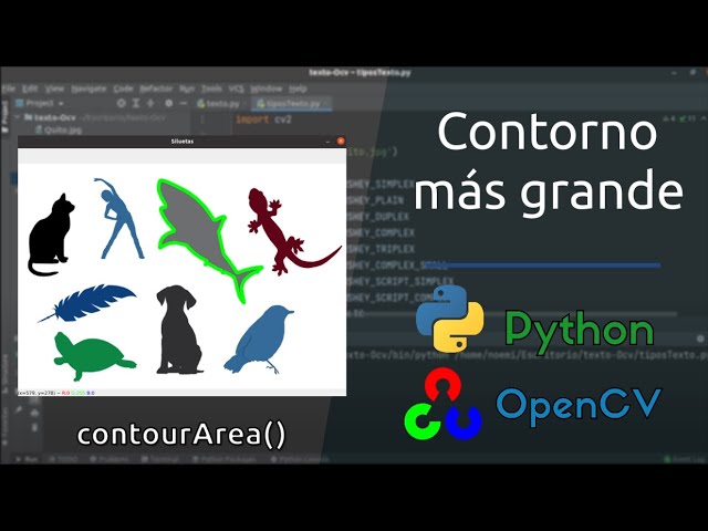 Encontrar el contorno más grande con contourArea() | Python - openCV