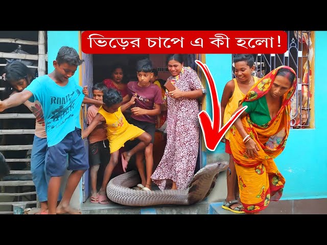 বিশাল সাপ দেখতে হুমড়ি খেয়ে পড়ছে গোটা গ্রাম | সাপের চোখে পৃথিবী কেমন? Massive Size Cobra Rescue