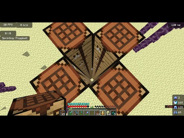 Making the best trap on Donut SMP