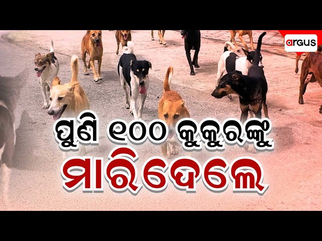 🔴Big Breaking Live | ପୁଣି ୧୦୦ କୁକୁରଙ୍କୁ ମାରିଦେଲେ | 21 Jan 2026 | Argus News