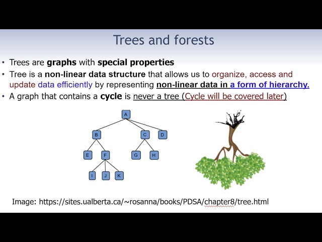 Binary Tree Part1: What Is a Tree Data Structure? | Tree Basics, Level, Degree & Height