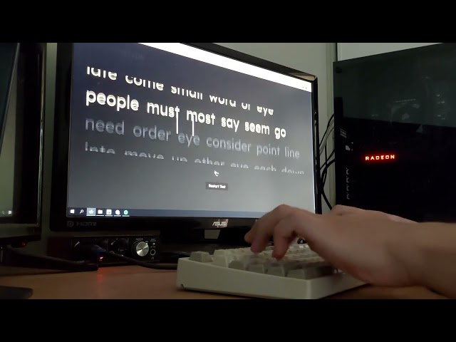 250 WPM Monkey Type with Handcam