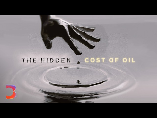The Hidden Cost of Oil