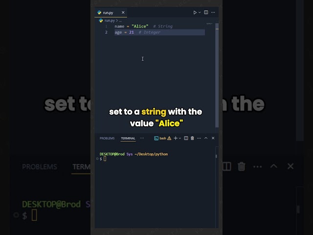 Python Variables and Data Types Explained (and why you need them!) #python #shorts