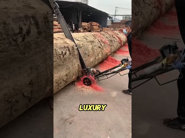 Congo Padauk: The Rare Wood Worth More Than a Luxury Car!
