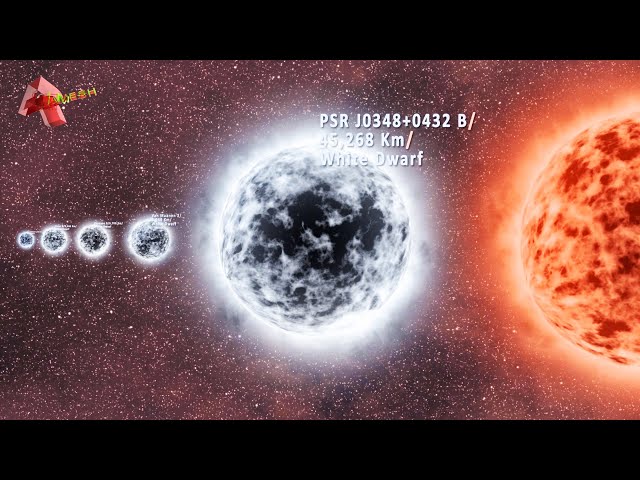 Stars Size Comparison: Exploring Stars