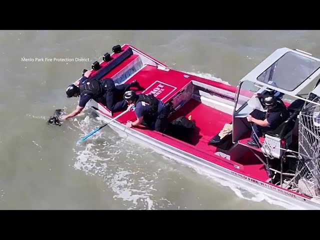 Menlo Park firefighters rescue dog from the Bay